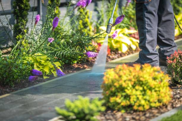 Best Restaurant Pressure Washing  in San Marcos, CA